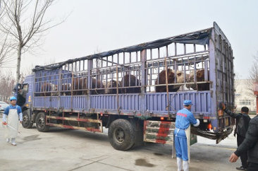 凯发国际天生赢家一触即发,k8凯发(中国)天生赢家,k8凯发(中国)天生赢家一触即发食品