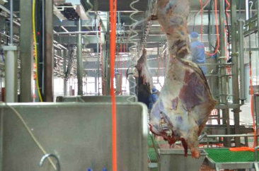 凯发国际天生赢家一触即发,k8凯发(中国)天生赢家,k8凯发(中国)天生赢家一触即发食品
